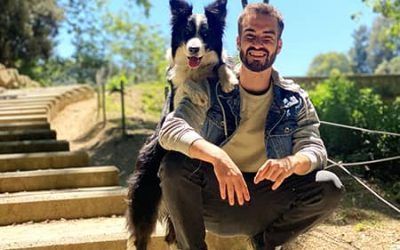 Cursos para perros online