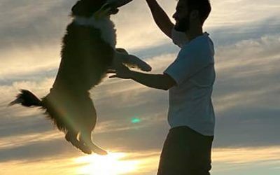 Playas caninas para ir con tu perro en España