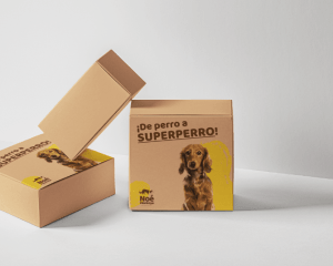 curso de pero a superperro - noe montoya educacion canina - viajar en coche