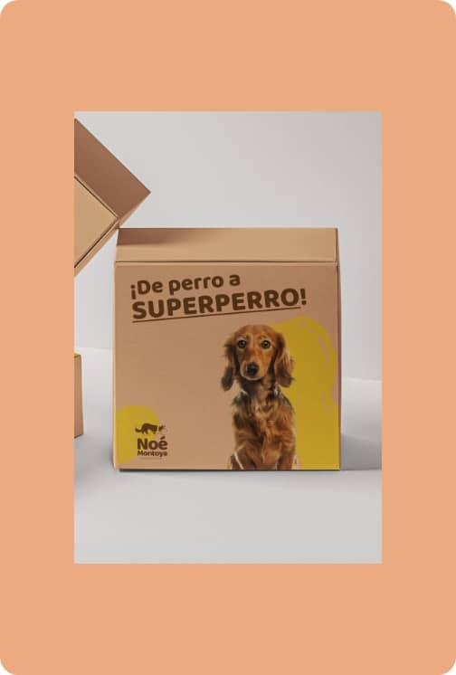 Rectángulo 3263 Curso De perro a súper perro - Noé Montoya - Educación canina