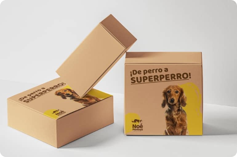 Curso de Perro a Súper perro