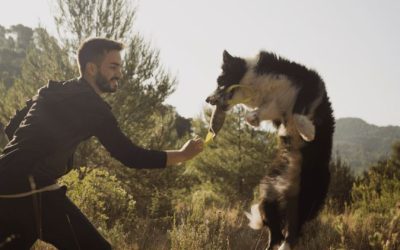 Noé Montoya, adiestrador de perros en Barcelona