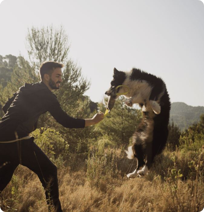 Adiestrador de perros en Barcelona