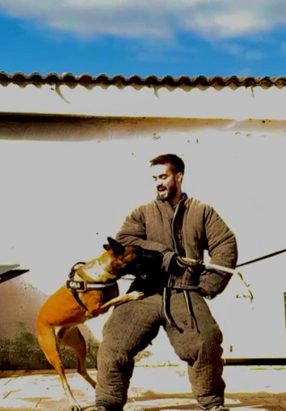 adiestrador de perros profesional