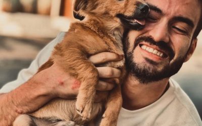 La educación canina en Cachorros: 10 Claves Esenciales