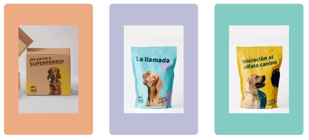 cursos para perros online con noe montoya